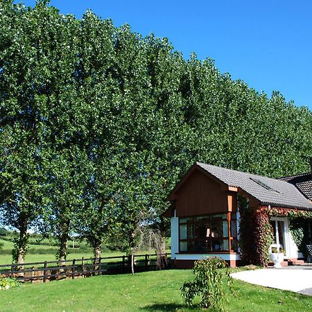 The Bungalow Farmhouse Clomantagh Extérieur photo