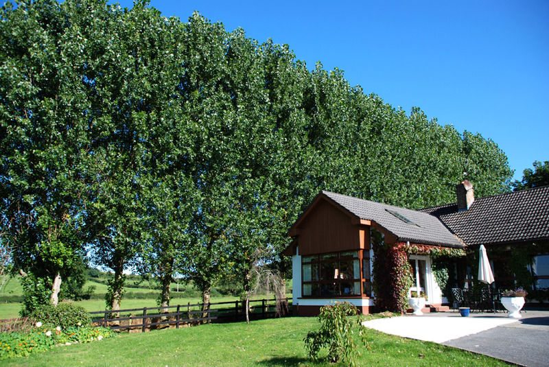The Bungalow Farmhouse Clomantagh Extérieur photo