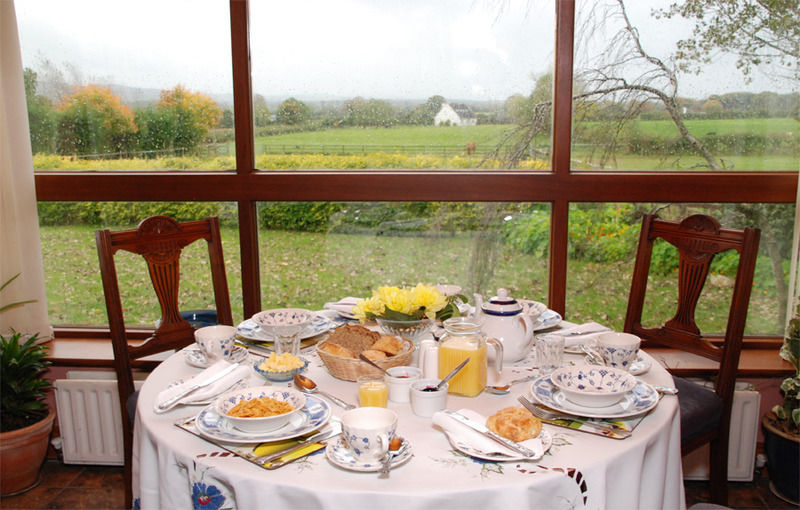 The Bungalow Farmhouse Clomantagh Extérieur photo